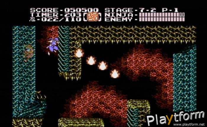 Ninja Gaiden II: The Dark Sword of Chaos (Wii)