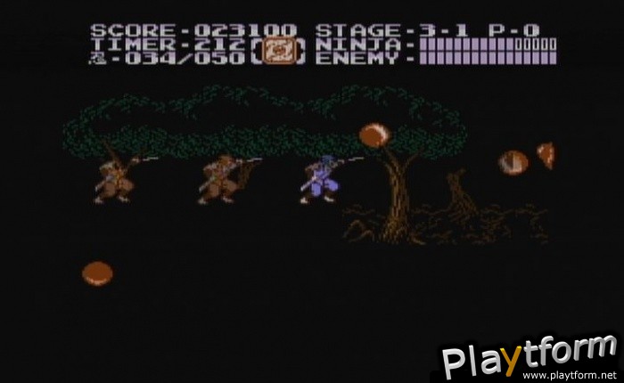 Ninja Gaiden II: The Dark Sword of Chaos (Wii)