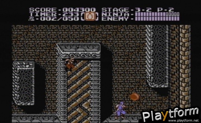 Ninja Gaiden II: The Dark Sword of Chaos (Wii)