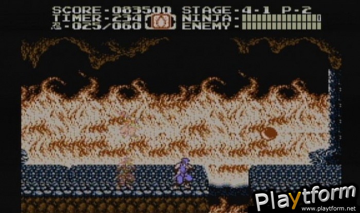 Ninja Gaiden II: The Dark Sword of Chaos (Wii)