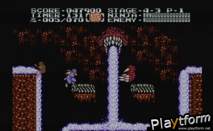 Ninja Gaiden II: The Dark Sword of Chaos (Wii)