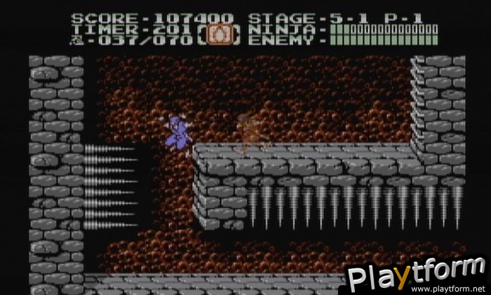 Ninja Gaiden II: The Dark Sword of Chaos (Wii)