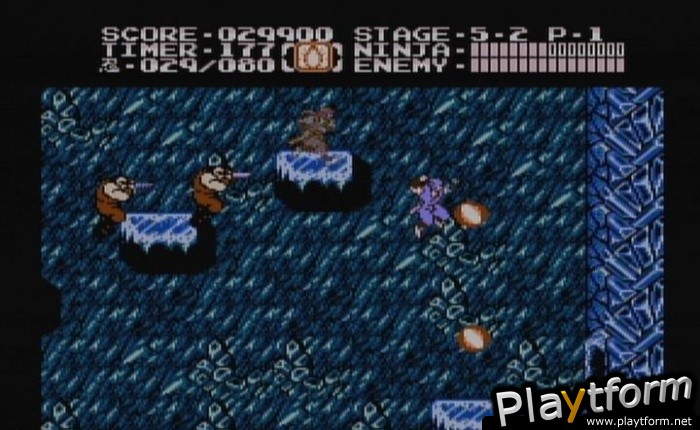 Ninja Gaiden II: The Dark Sword of Chaos (Wii)