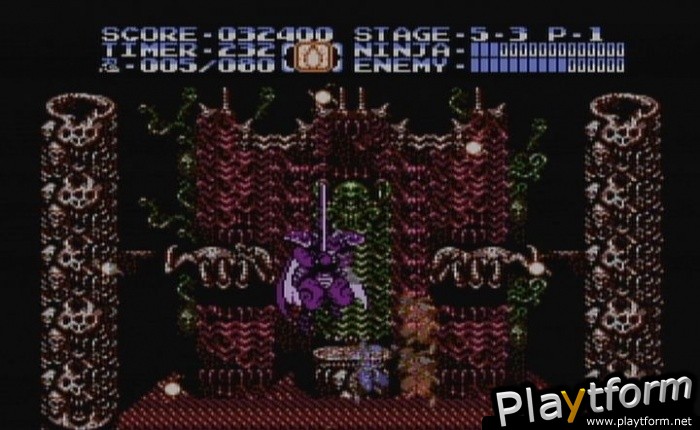 Ninja Gaiden II: The Dark Sword of Chaos (Wii)