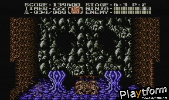 Ninja Gaiden II: The Dark Sword of Chaos (Wii)