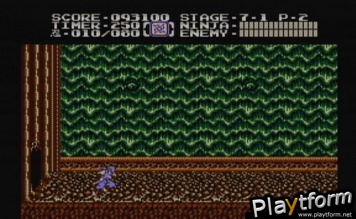 Ninja Gaiden II: The Dark Sword of Chaos (Wii)