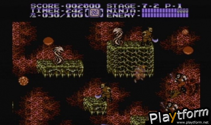 Ninja Gaiden II: The Dark Sword of Chaos (Wii)