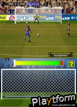 FIFA Soccer 08 (DS)