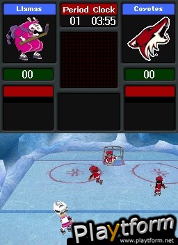 Backyard Hockey (DS)