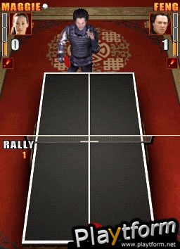 Balls of Fury (DS)