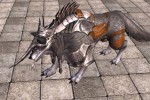 Lineage II: The Chaotic Throne - Hellbound (PC)
