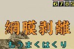 Nep League DS (DS)