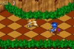 Sonic 3D Blast (Wii)