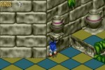 Sonic 3D Blast (Wii)