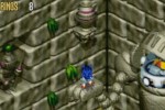 Sonic 3D Blast (Wii)