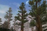 Everquest II: Rise of Kunark (PC)