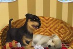 Petz: Dogz 2 (PC)