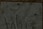 Tomb Raider: Anniversary (Wii)