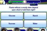 Smarty Pants (Wii)