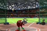 Mario & Sonic at the Olympic Games (Wii)