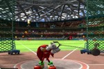 Mario & Sonic at the Olympic Games (Wii)