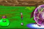 Dragon Quest Monsters: Joker (DS)