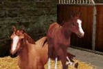 Horse Life (DS)