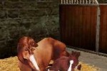 Horse Life (DS)