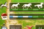 Horse Life (DS)