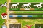 Horse Life (DS)