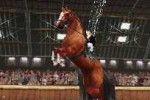 Horse Life (DS)