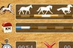 Horse Life (DS)