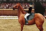Horse Life (DS)