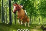 Horse Life (DS)