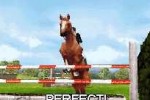 Horse Life (DS)