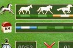 Horse Life (DS)