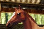 Horse Life (DS)