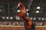 Horse Life (DS)