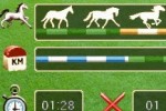 Horse Life (DS)