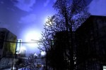 Escape From Paradise City (PC)