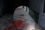 Dementium: The Ward (DS)