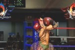 Victorious Boxers: Revolution (Wii)