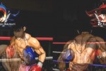 Victorious Boxers: Revolution (Wii)