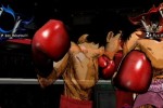 Victorious Boxers: Revolution (Wii)