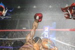 Victorious Boxers: Revolution (Wii)