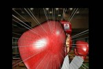 Victorious Boxers: Revolution (Wii)
