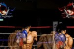 Victorious Boxers: Revolution (Wii)