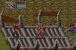 Golden Axe III (Wii)
