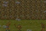 Golden Axe III (Wii)
