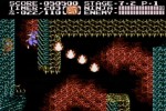 Ninja Gaiden II: The Dark Sword of Chaos (Wii)